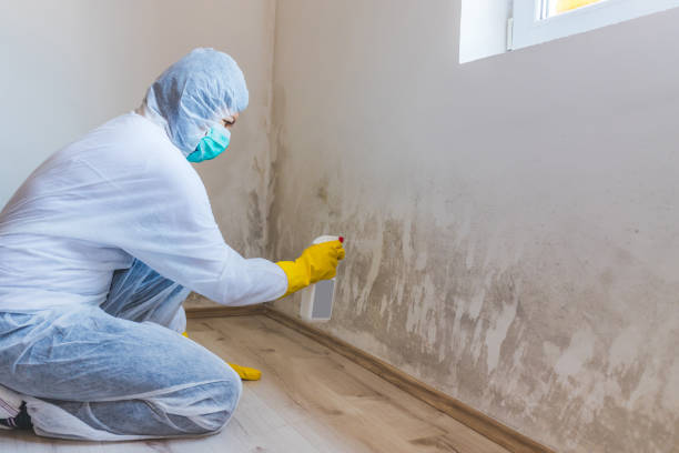 Hvac And Air Duct Mold Remediation inspection of HVAC system in Akron
