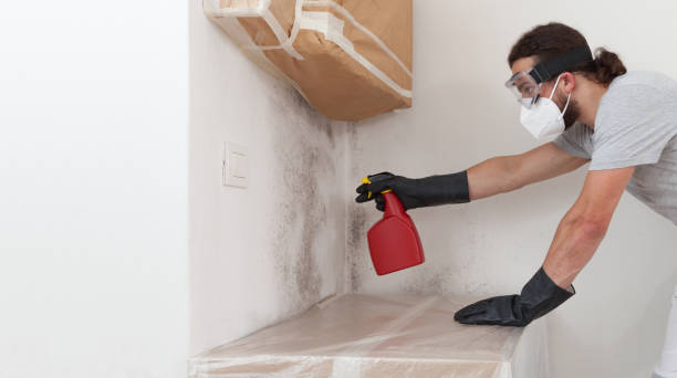 Basement Mold Remediation treatment on basement walls in Akron